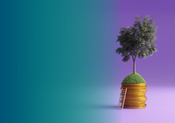 Treasury operations & sustainability